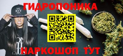 прущие грибы Ипатово