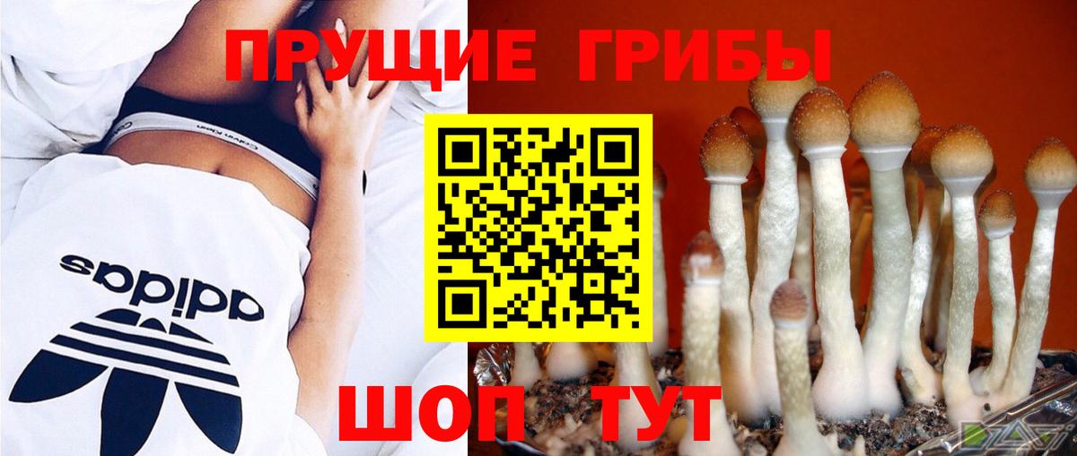 Крымск  Галлюциногенные грибы GOLDEN TEACHER  Вход с VPN 